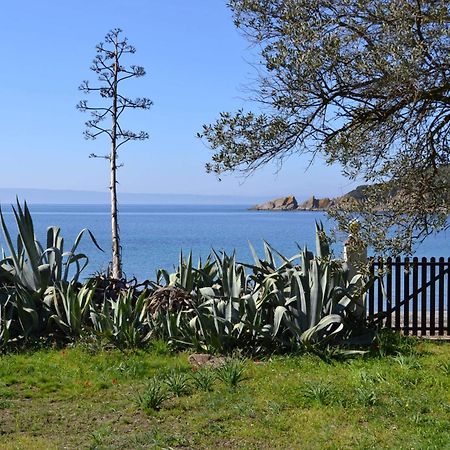 Casa Natura 阿莫利亚尼岛 外观 照片