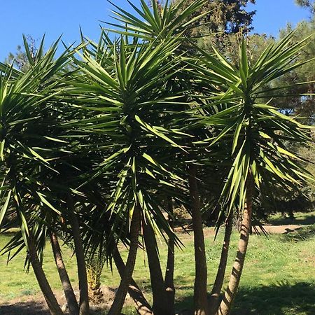 Casa Natura 阿莫利亚尼岛 外观 照片