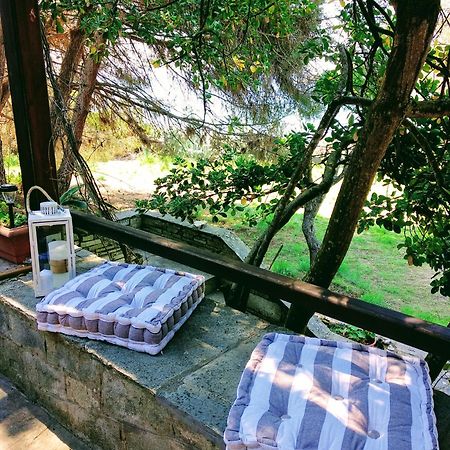 Casa Natura 阿莫利亚尼岛 外观 照片