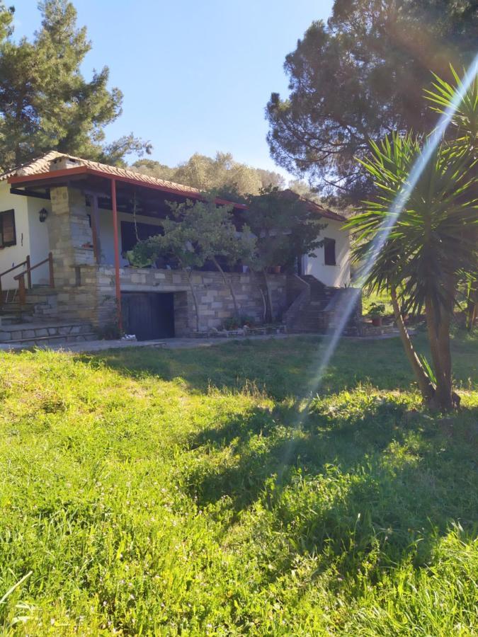 Casa Natura 阿莫利亚尼岛 外观 照片