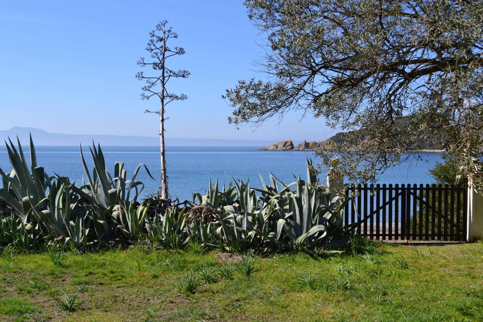 Casa Natura 阿莫利亚尼岛 外观 照片