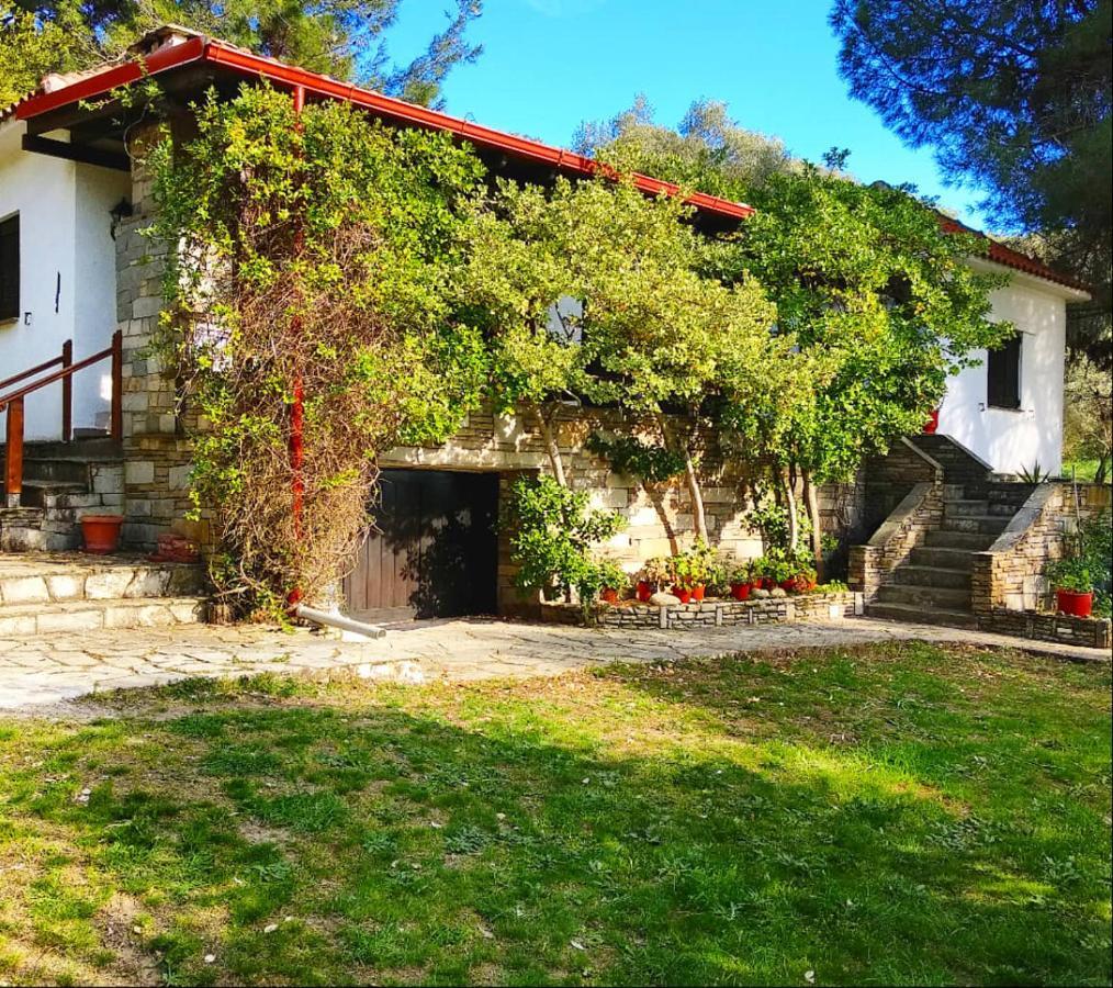 Casa Natura 阿莫利亚尼岛 外观 照片